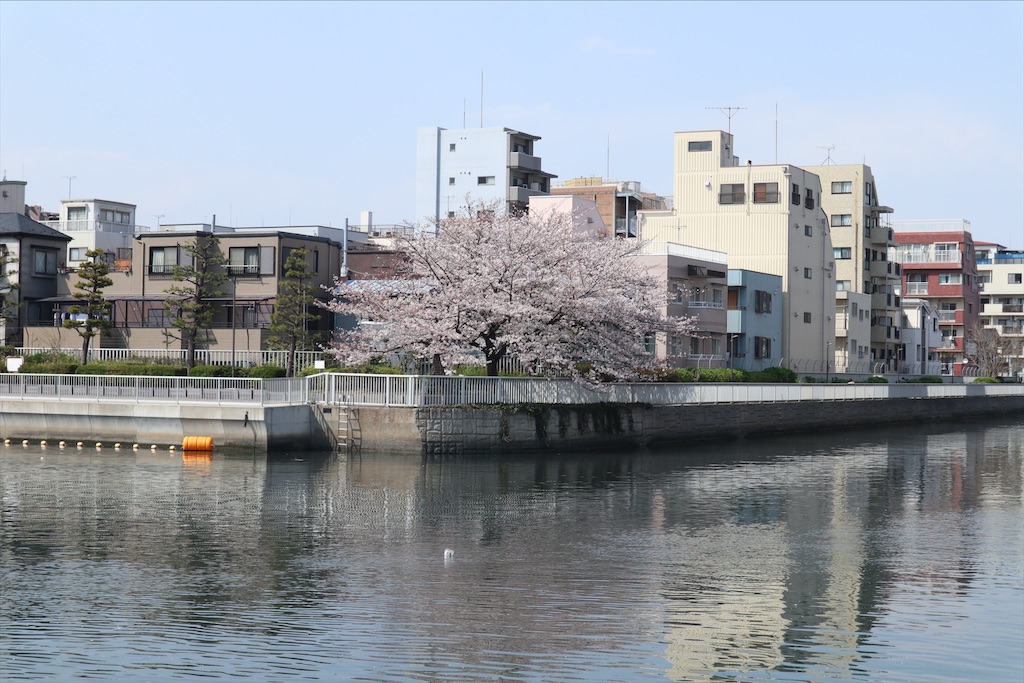 f:id:chizuchizuko:20210401080336j:plain
