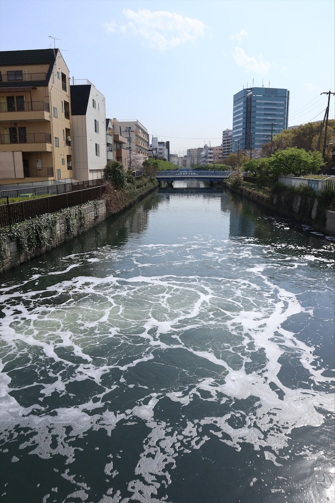 f:id:chizuchizuko:20210401080400j:image