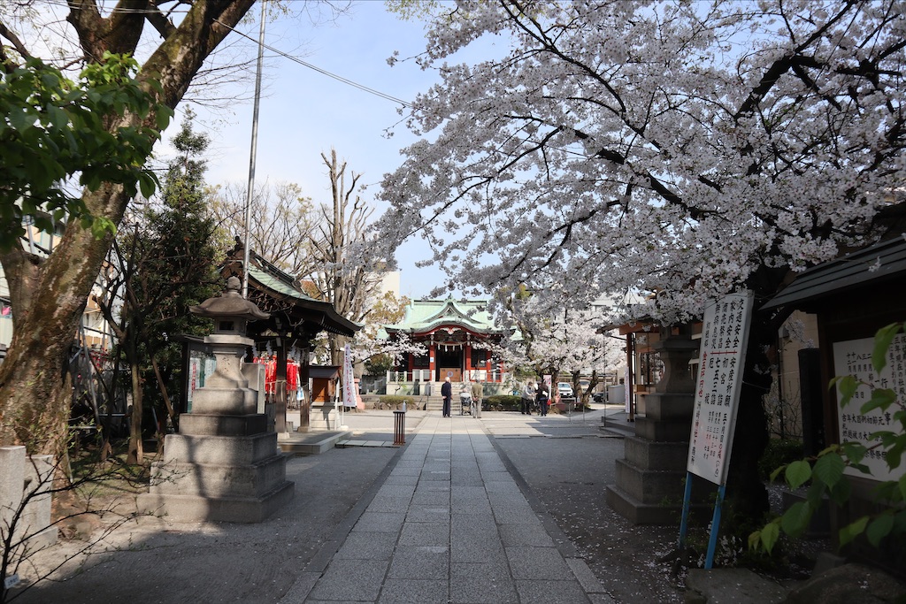 f:id:chizuchizuko:20210401080407j:image