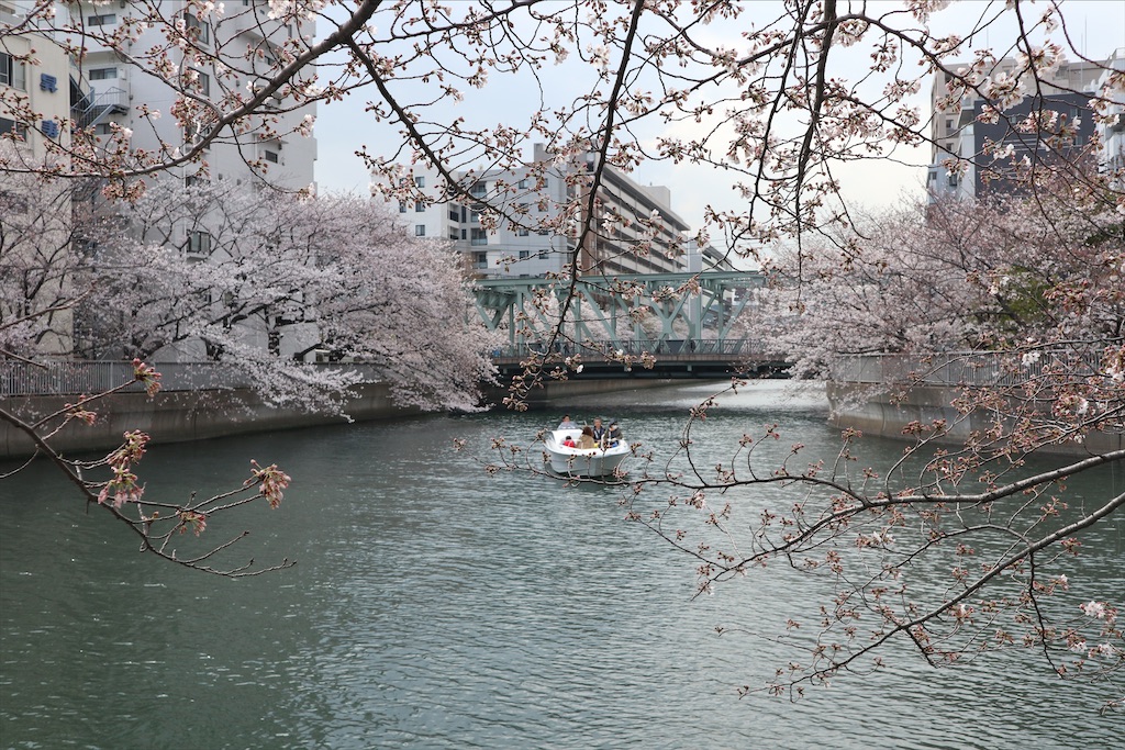 f:id:chizuchizuko:20210401080454j:image