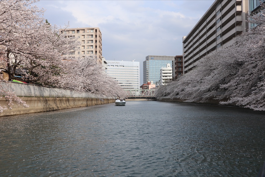 f:id:chizuchizuko:20210401080548j:image