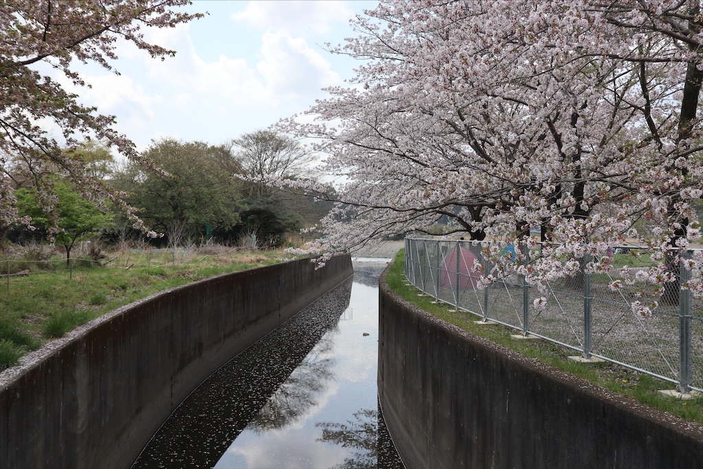 f:id:chizuchizuko:20210404095444j:image