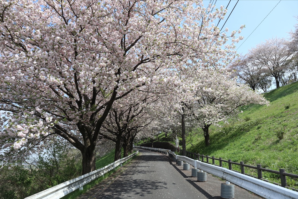 f:id:chizuchizuko:20210404095608j:image