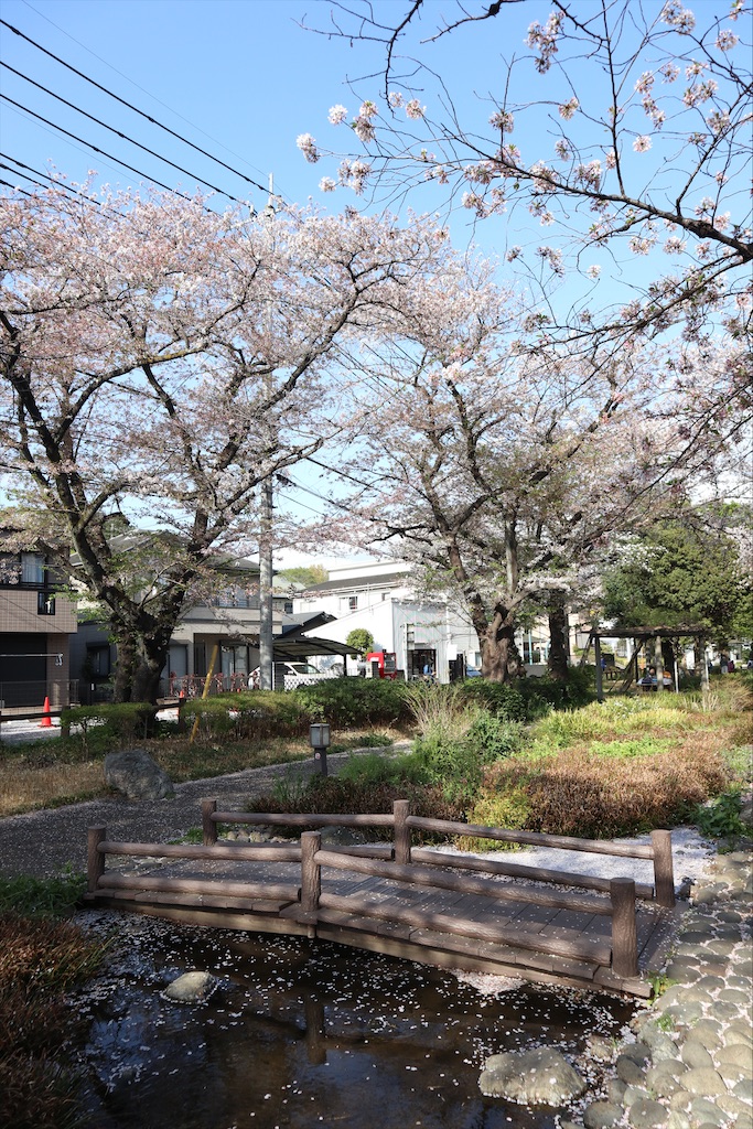 f:id:chizuchizuko:20210404095817j:image