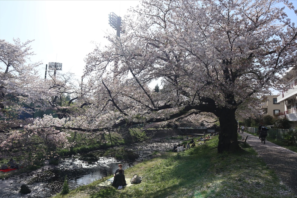 f:id:chizuchizuko:20210404095834j:image