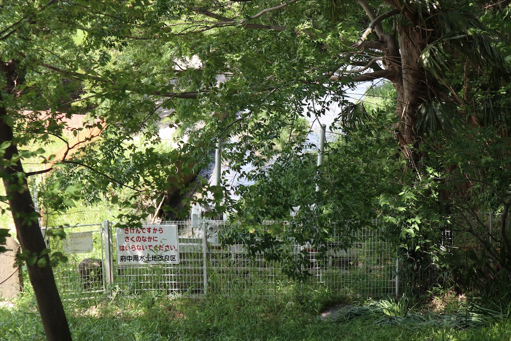 f:id:chizuchizuko:20210509131926j:image f:id:chizuchizuko:20210509131926j:image