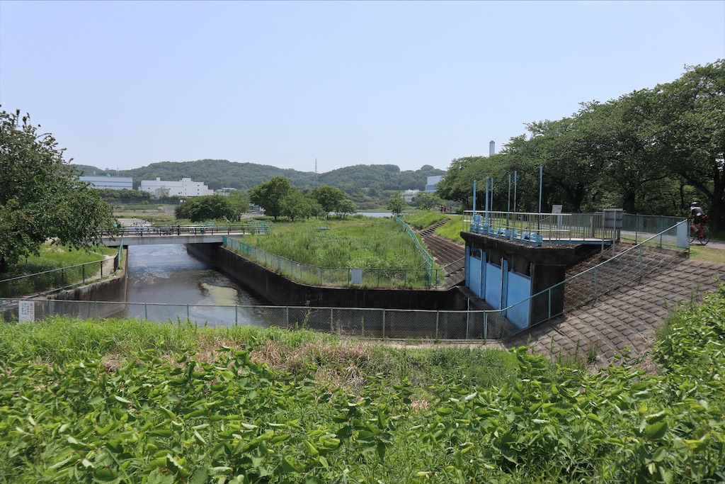 f:id:chizuchizuko:20210509132153j:image f:id:chizuchizuko:20210509132153j:image