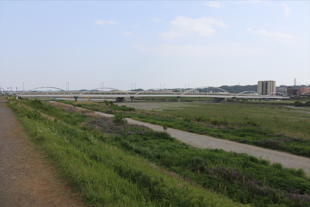 f:id:chizuchizuko:20210509160953j:image f:id:chizuchizuko:20210509160953j:image
