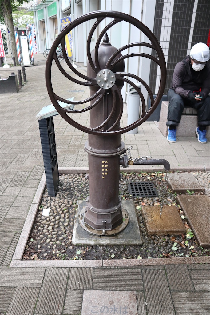 f:id:chizuchizuko:20210524193303j:plain