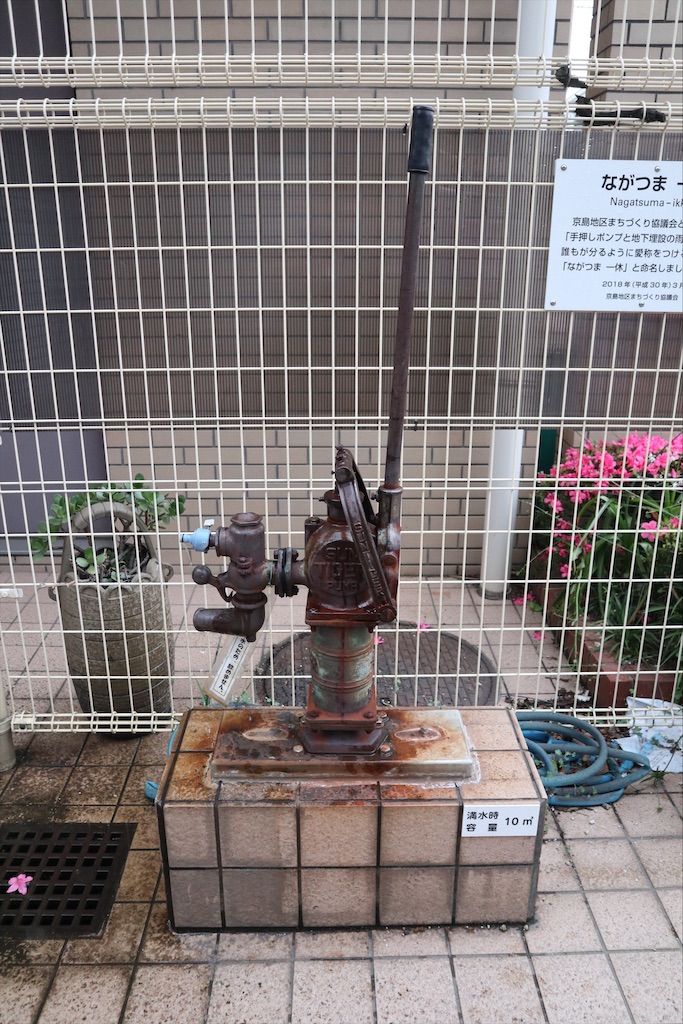 f:id:chizuchizuko:20210524193730j:plain