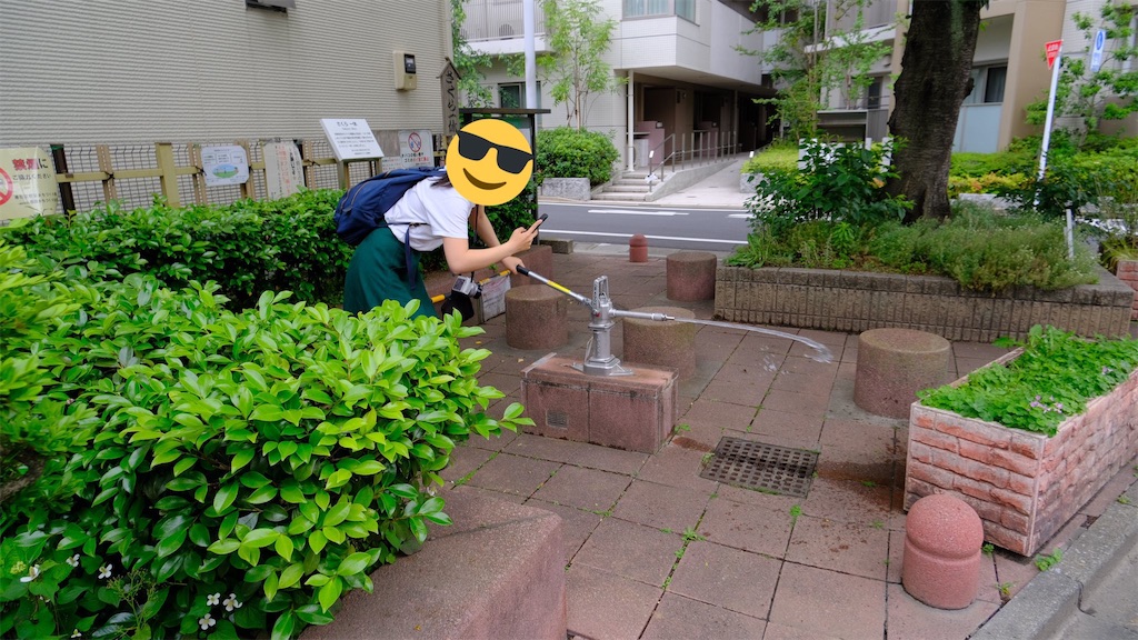 f:id:chizuchizuko:20210524221349j:plain