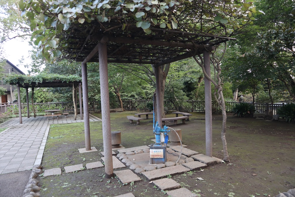 f:id:chizuchizuko:20210530185427j:image