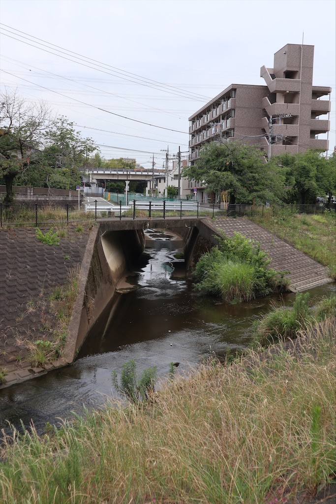 f:id:chizuchizuko:20210626175428j:image f:id:chizuchizuko:20210626175428j:image