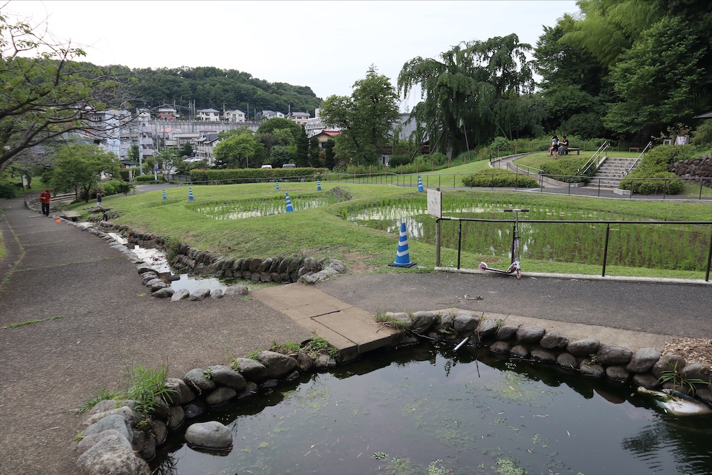 f:id:chizuchizuko:20210626175717j:image f:id:chizuchizuko:20210626175717j:image