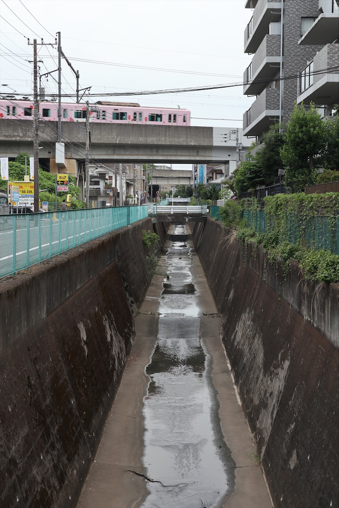 f:id:chizuchizuko:20210626175733j:image f:id:chizuchizuko:20210626175733j:image