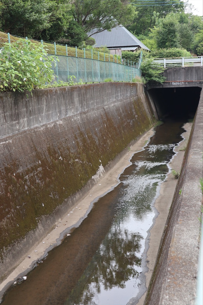 f:id:chizuchizuko:20210626175742j:image f:id:chizuchizuko:20210626175742j:image