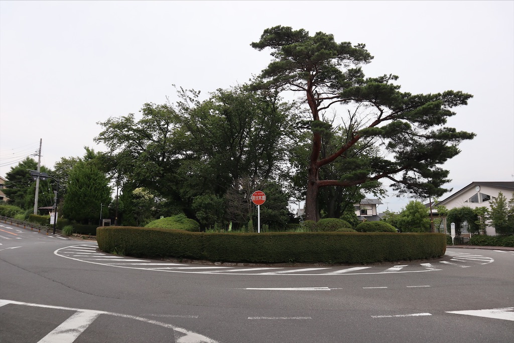 f:id:chizuchizuko:20210626175817j:image f:id:chizuchizuko:20210626175817j:image