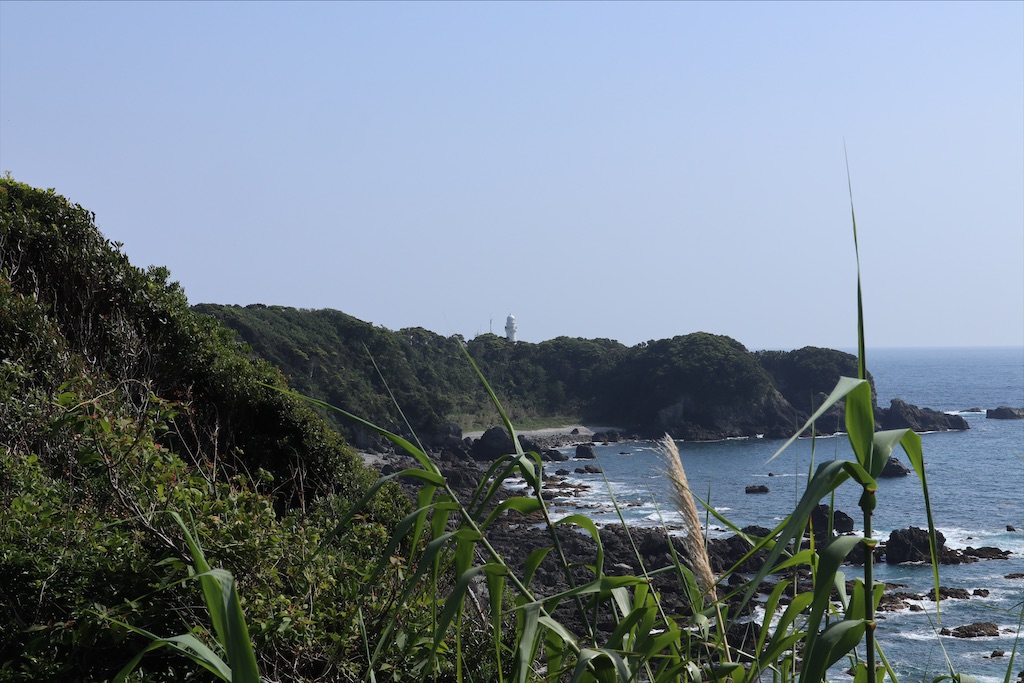 f:id:chizuchizuko:20210709233453j:image