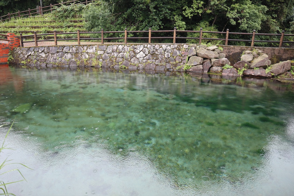 f:id:chizuchizuko:20210731115116j:image