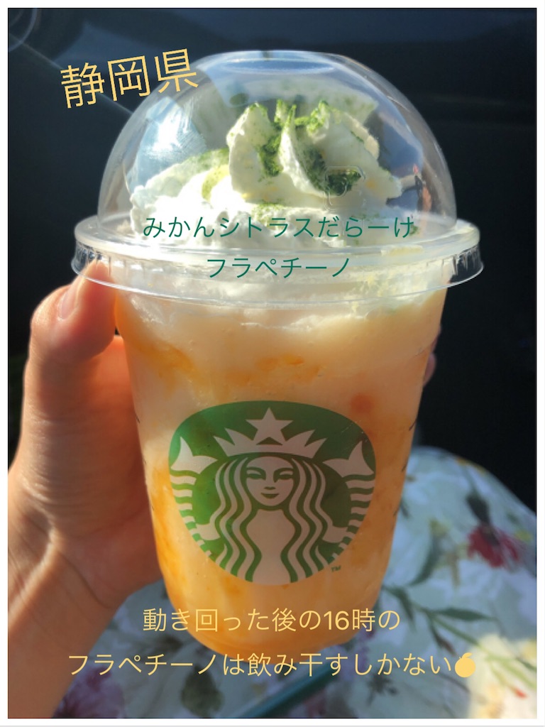 f:id:chizuchizuko:20210807125651j:plain