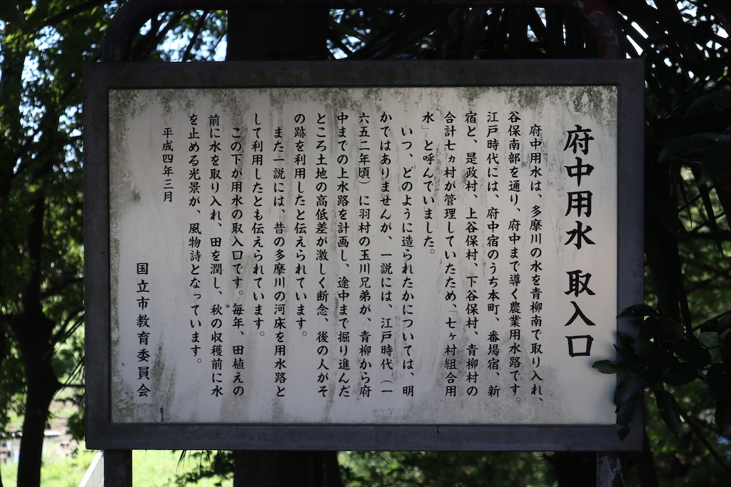 f:id:chizuchizuko:20210820221306j:image f:id:chizuchizuko:20210820221306j:image