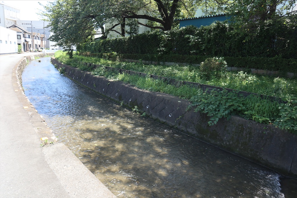 f:id:chizuchizuko:20210820221710j:image f:id:chizuchizuko:20210820221710j:image