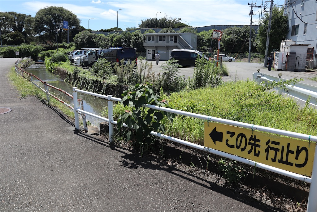 f:id:chizuchizuko:20210820222045j:image f:id:chizuchizuko:20210820222045j:image