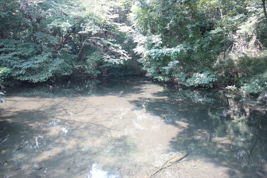 f:id:chizuchizuko:20210908214836j:image