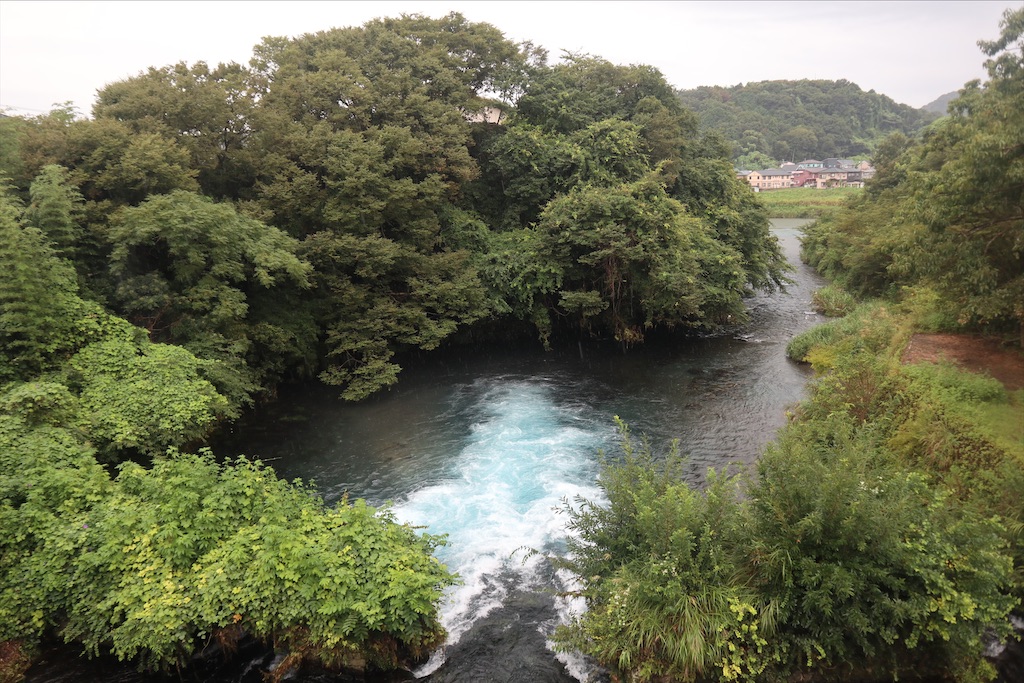 f:id:chizuchizuko:20210908221738j:image