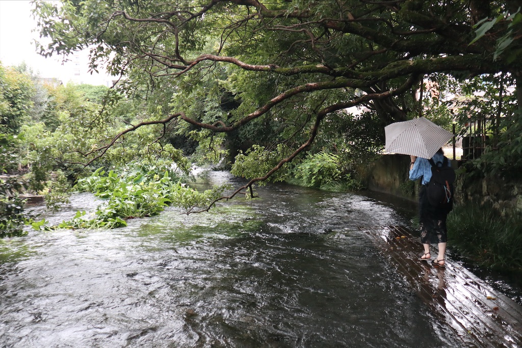 f:id:chizuchizuko:20210908224531j:plain