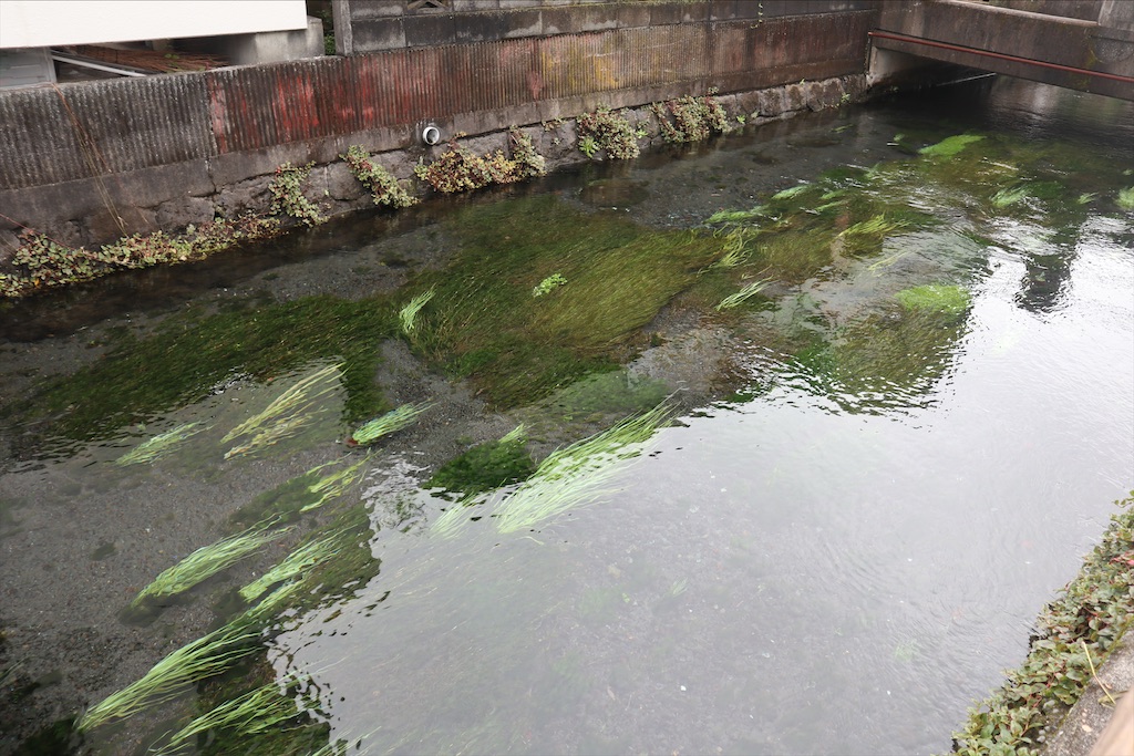 f:id:chizuchizuko:20210908224607j:image f:id:chizuchizuko:20210908224607j:image