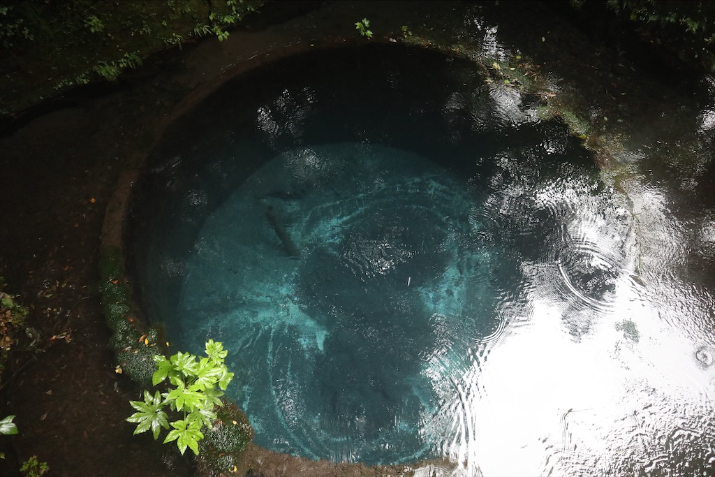 f:id:chizuchizuko:20210908224659j:image f:id:chizuchizuko:20210908224659j:image