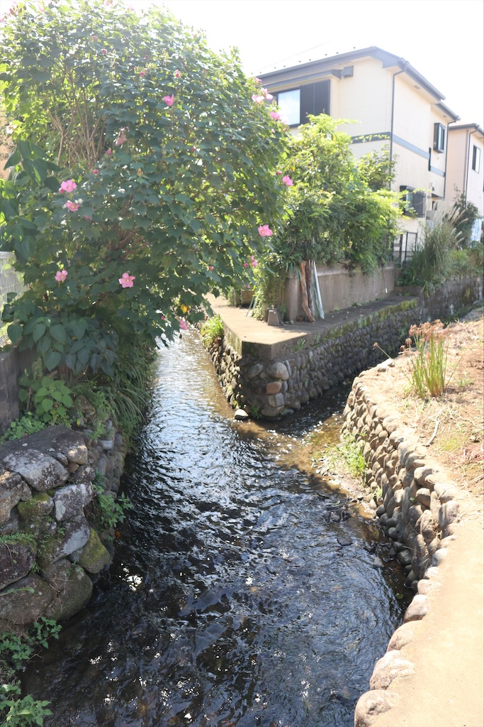 f:id:chizuchizuko:20210923144552j:image f:id:chizuchizuko:20210923144552j:image