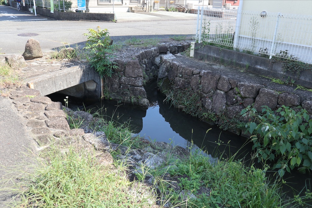 f:id:chizuchizuko:20210923144556j:image f:id:chizuchizuko:20210923144556j:image