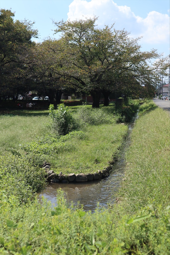 f:id:chizuchizuko:20210923144645j:image f:id:chizuchizuko:20210923144645j:image