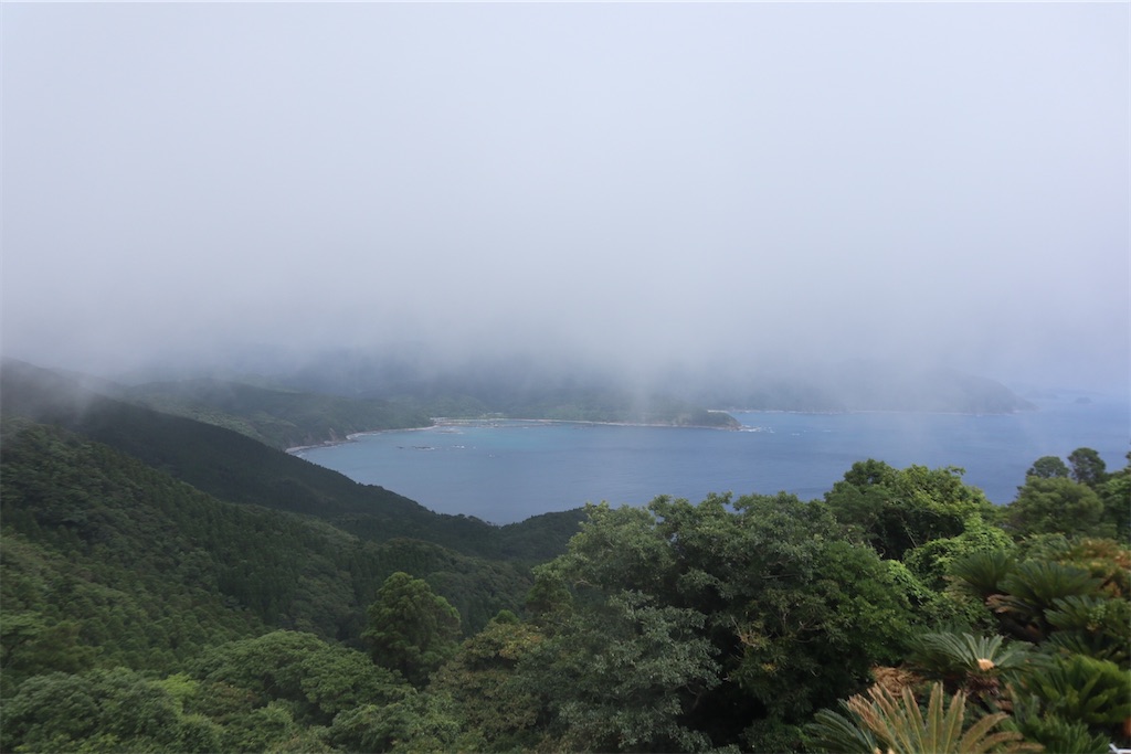 f:id:chizuchizuko:20211113085249j:image f:id:chizuchizuko:20211113085249j:image