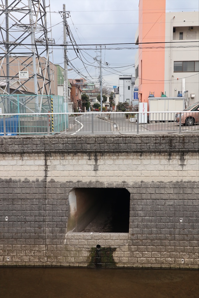 f:id:chizuchizuko:20220219201435j:image