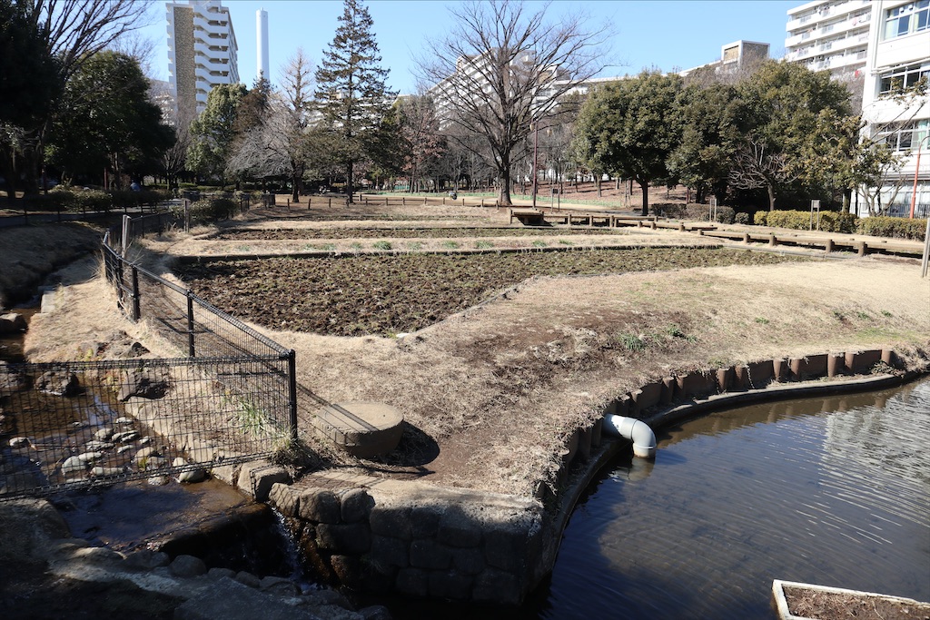 f:id:chizuchizuko:20220224231108j:image