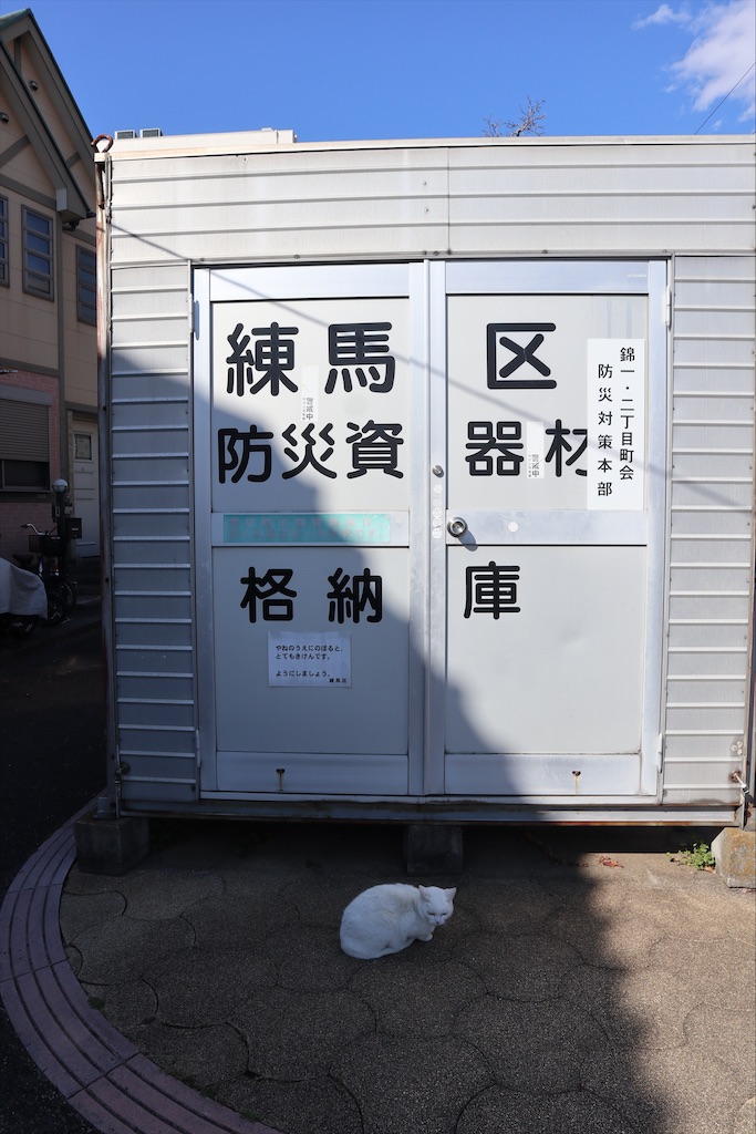 f:id:chizuchizuko:20220224231123j:image
