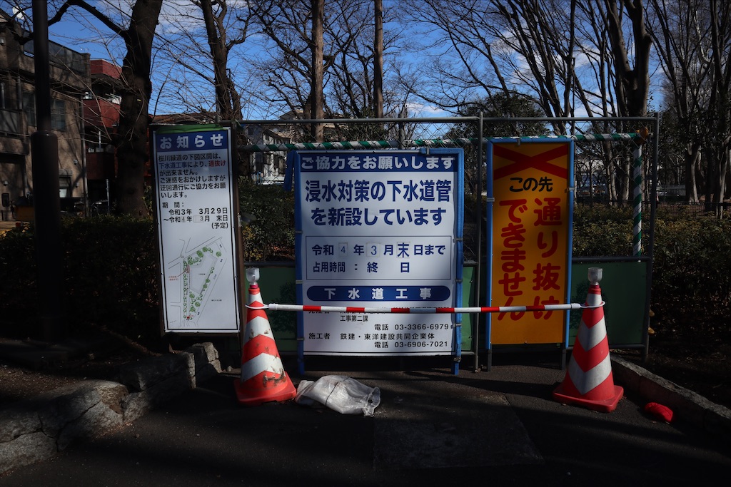 f:id:chizuchizuko:20220224231140j:image
