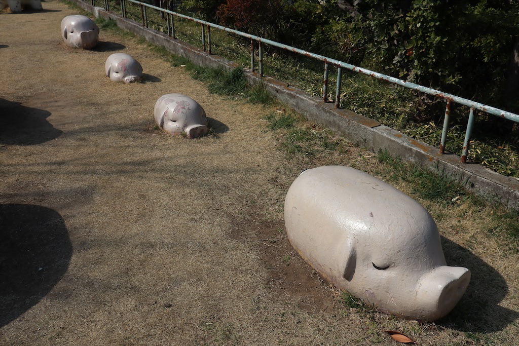 f:id:chizuchizuko:20220312181852j:plain