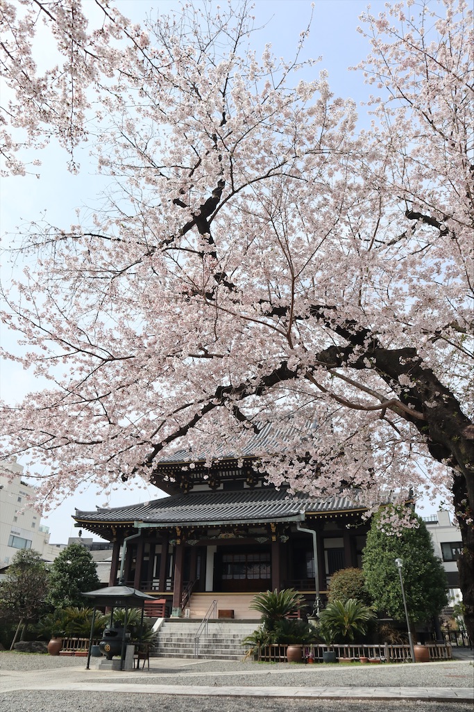 f:id:chizuchizuko:20220402145911j:plain