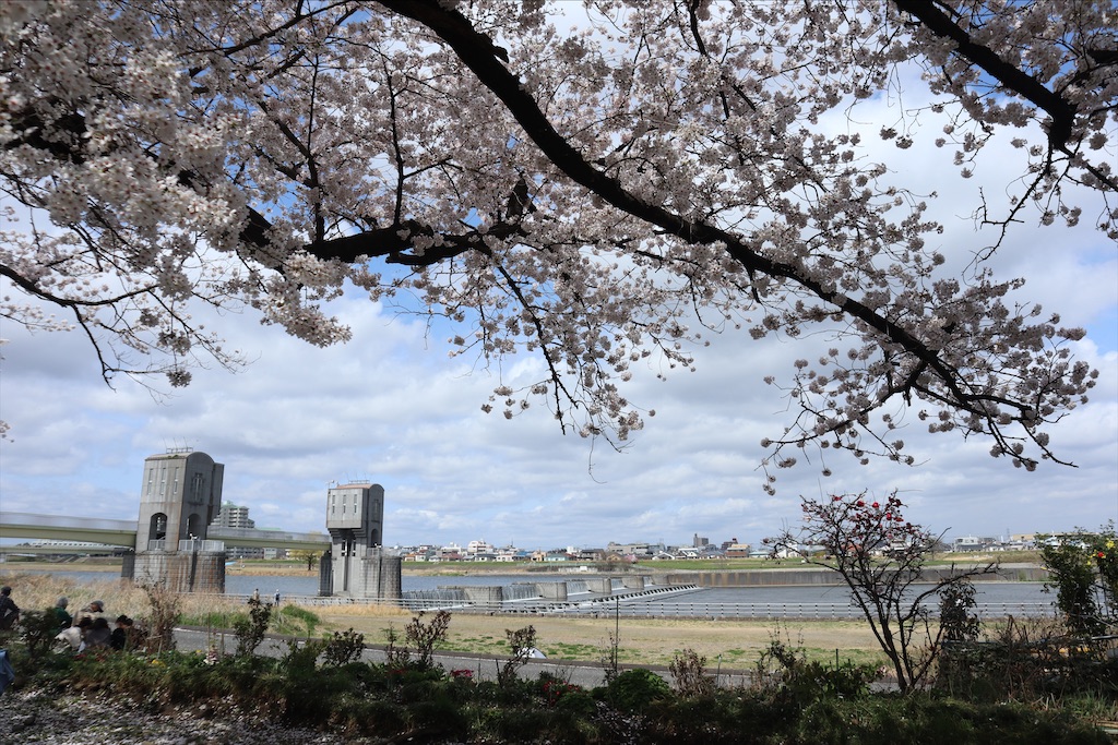 f:id:chizuchizuko:20220402145935j:plain