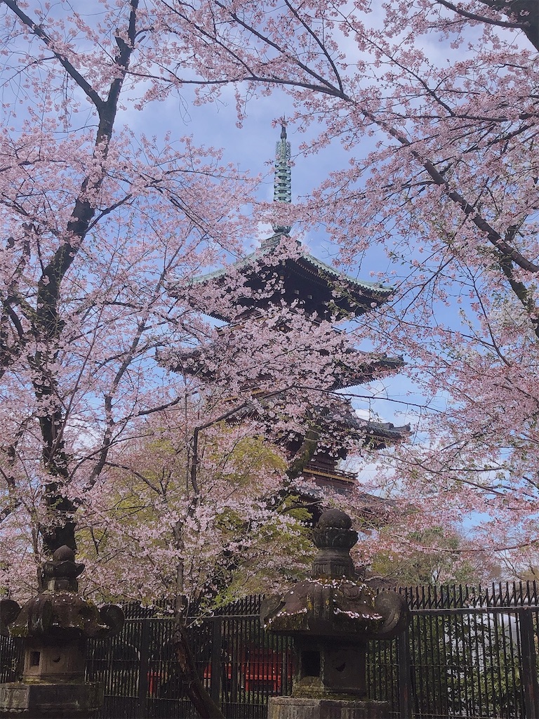 f:id:chizuchizuko:20220402145938j:plain