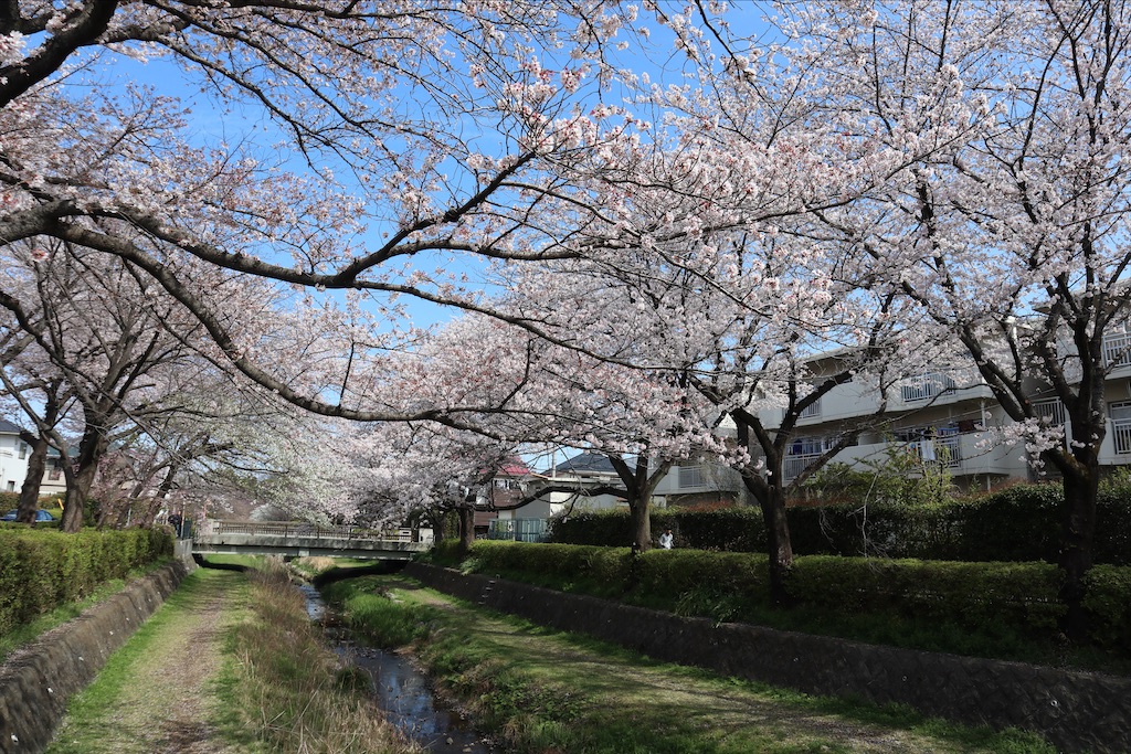 f:id:chizuchizuko:20220402145955j:plain