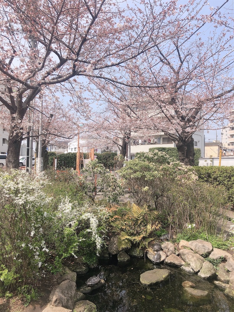 f:id:chizuchizuko:20220402155051j:plain