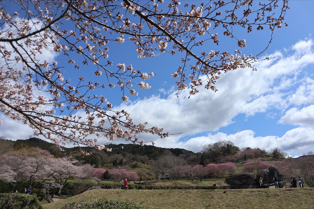f:id:chizuchizuko:20220402155110j:plain