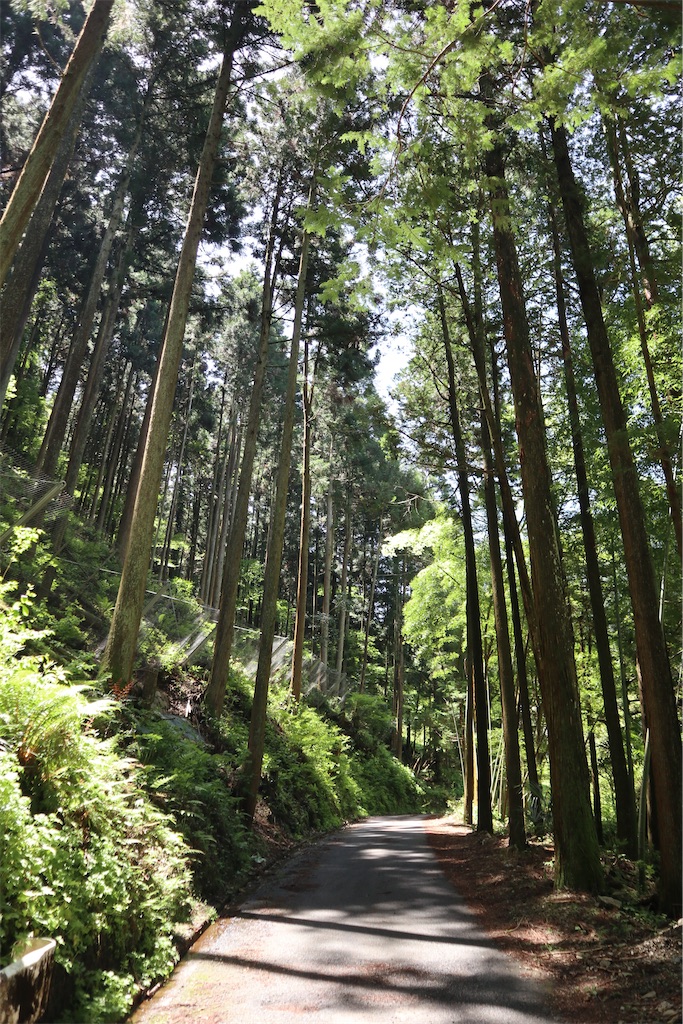 f:id:chizuchizuko:20220430175246j:image f:id:chizuchizuko:20220430175246j:image