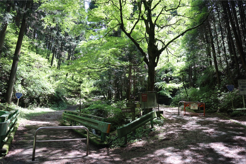 f:id:chizuchizuko:20220430175250j:image f:id:chizuchizuko:20220430175250j:image