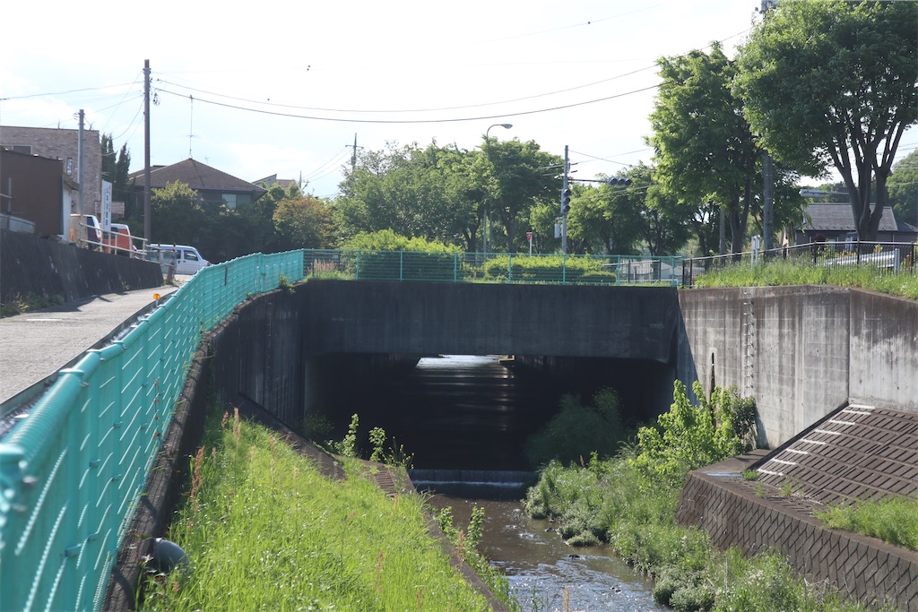 f:id:chizuchizuko:20220503235259j:image